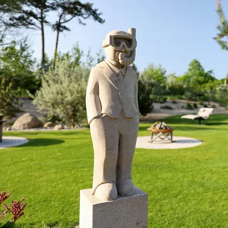Schmidt - Strandhaus Direkt Am Mit Sauna, Sport Und Dünengarten I Apartment