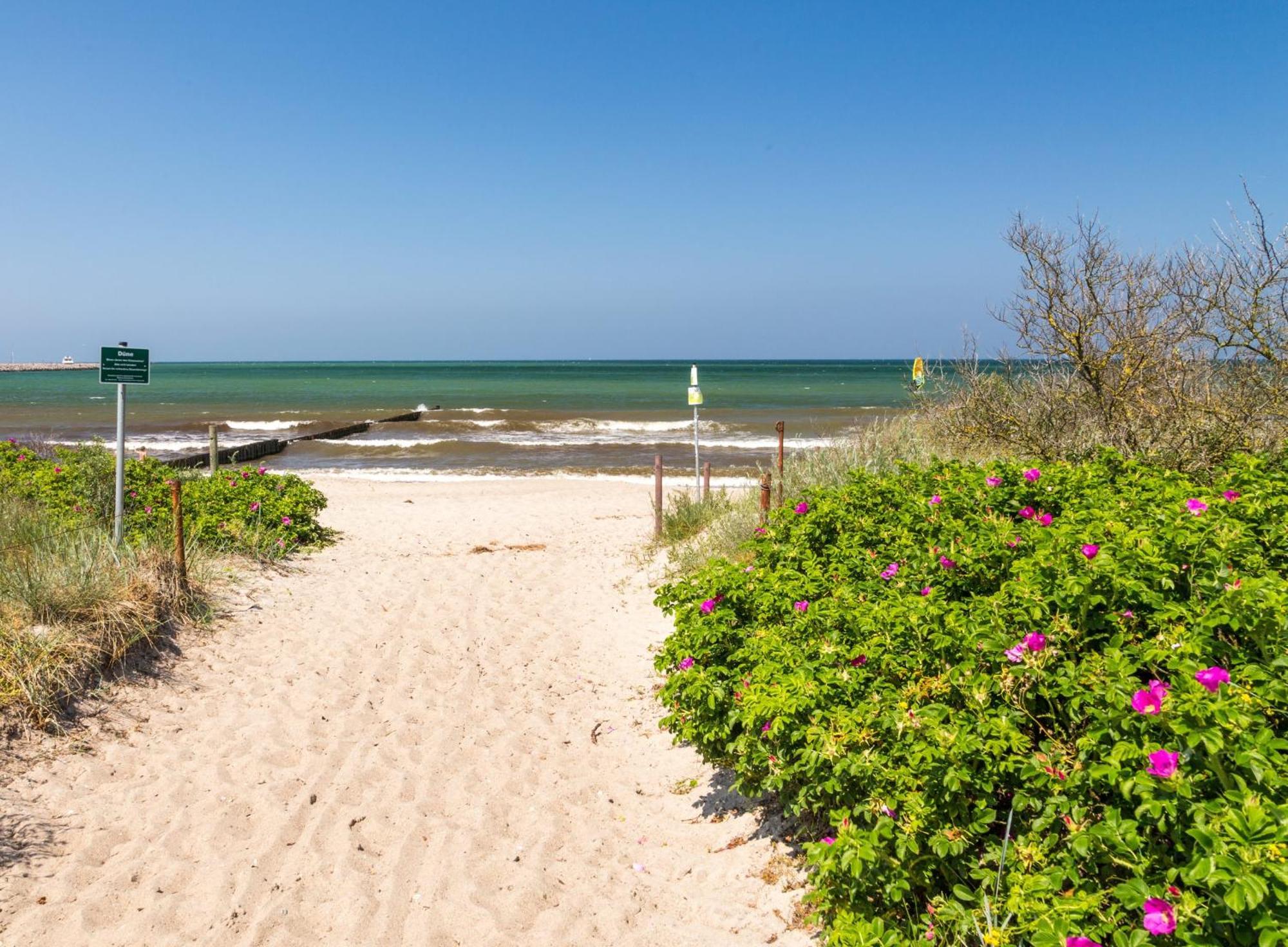 Schmidt - Strandhaus Direkt Am Mit Sauna, Sport Und Dünengarten I